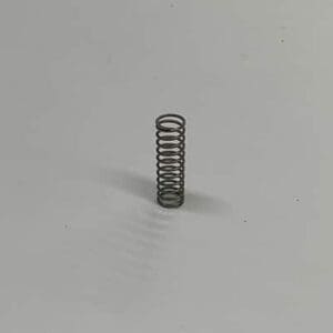 Small metal coil spring.